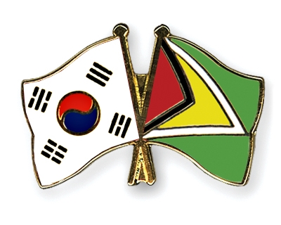 Fahnen Pins Sdkorea Guyana