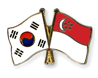 Fahnen Pins Sdkorea Singapur