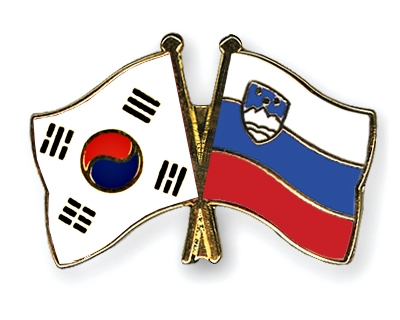 Fahnen Pins Sdkorea Slowenien