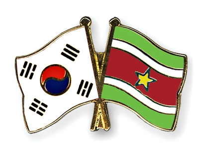 Fahnen Pins Sdkorea Surinam