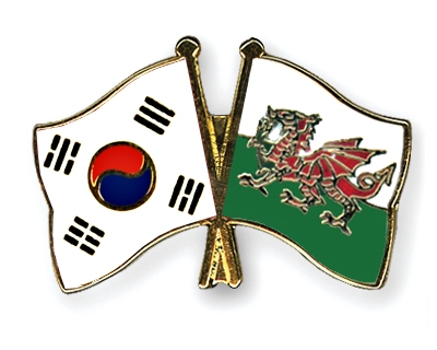 Fahnen Pins Sdkorea Wales