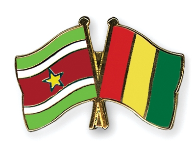 Fahnen Pins Surinam Guinea