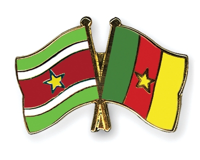 Fahnen Pins Surinam Kamerun