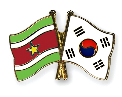 Fahnen Pins Surinam Sdkorea