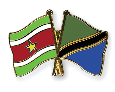 Fahnen Pins Surinam Tansania
