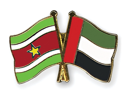 Fahnen Pins Surinam Ver-Arab-Emirate