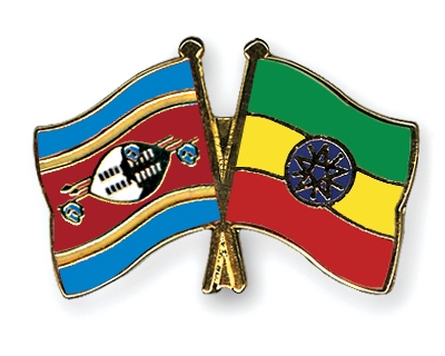 Fahnen Pins Swasiland thiopien