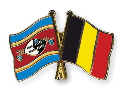 Fahnen Pins Swasiland Belgien