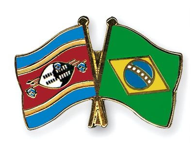 Fahnen Pins Swasiland Brasilien