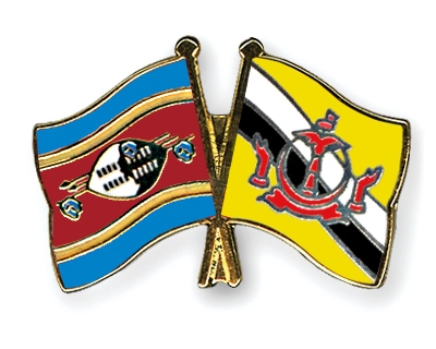 Fahnen Pins Swasiland Brunei-Darussalam