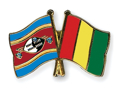 Fahnen Pins Swasiland Guinea