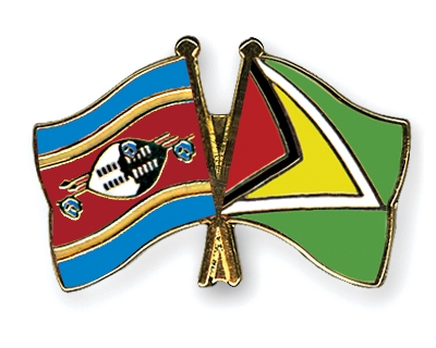 Fahnen Pins Swasiland Guyana