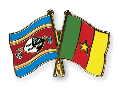 Fahnen Pins Swasiland Kamerun