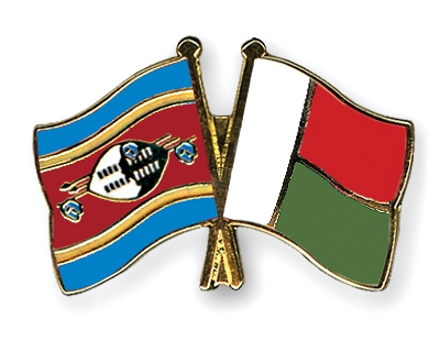 Fahnen Pins Swasiland Madagaskar