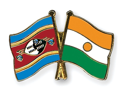 Fahnen Pins Swasiland Niger