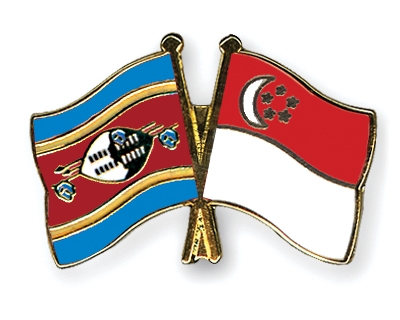 Fahnen Pins Swasiland Singapur