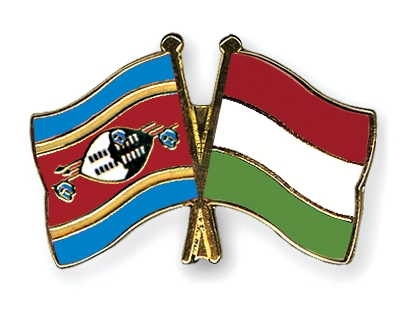 Fahnen Pins Swasiland Ungarn