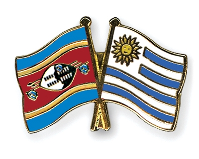 Fahnen Pins Swasiland Uruguay