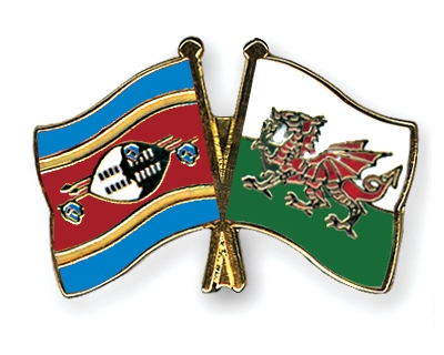 Fahnen Pins Swasiland Wales