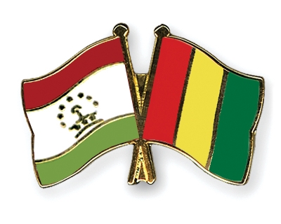 Fahnen Pins Tadschikistan Guinea