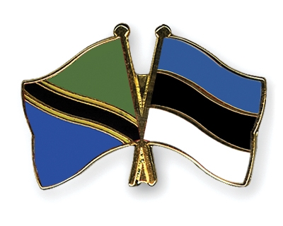 Fahnen Pins Tansania Estland