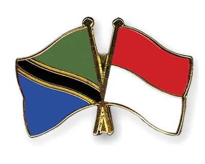 Fahnen Pins Tansania Indonesien