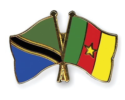 Fahnen Pins Tansania Kamerun