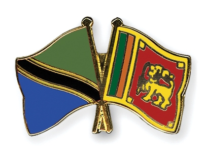 Fahnen Pins Tansania Sri-Lanka