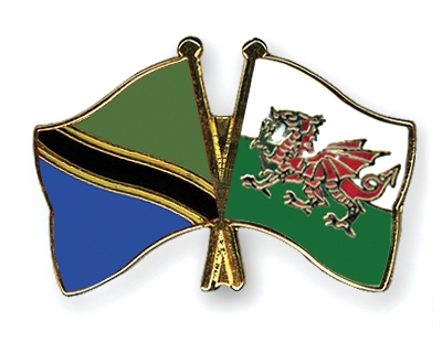 Fahnen Pins Tansania Wales