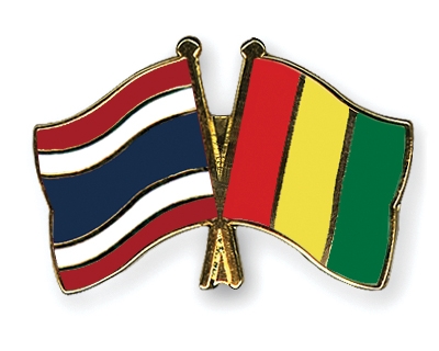 Fahnen Pins Thailand Guinea