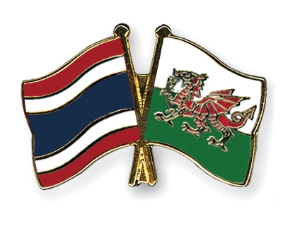 Fahnen Pins Thailand Wales