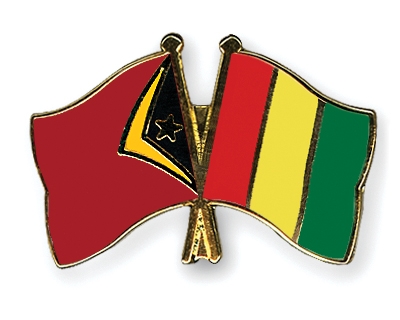 Fahnen Pins Timor-Leste Guinea