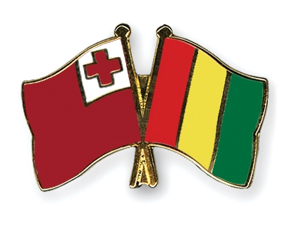 Fahnen Pins Tonga Guinea