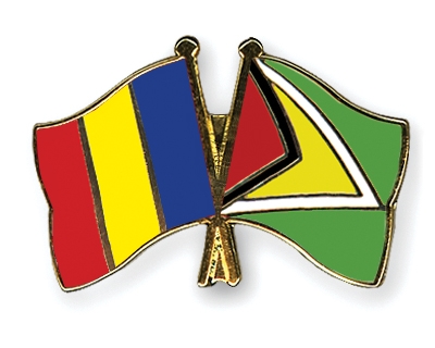 Fahnen Pins Tschad Guyana