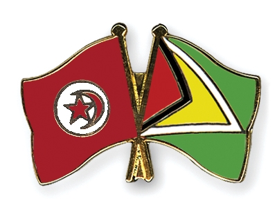 Fahnen Pins Tunesien Guyana