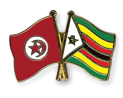 Fahnen Pins Tunesien Simbabwe