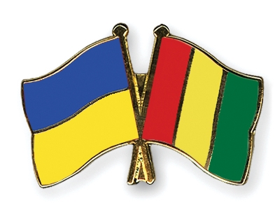 Fahnen Pins Ukraine Guinea