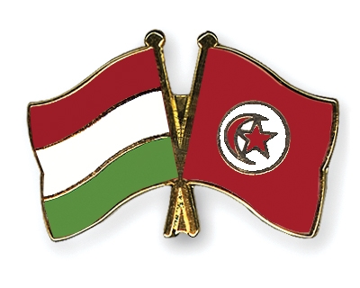 Fahnen Pins Ungarn Tunesien