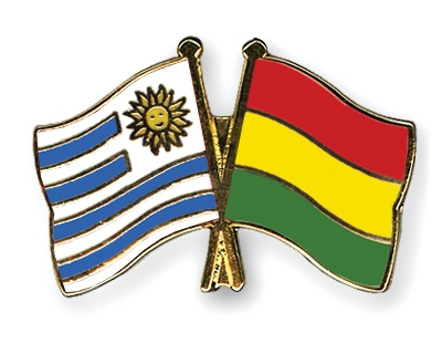 Fahnen Pins Uruguay Bolivien