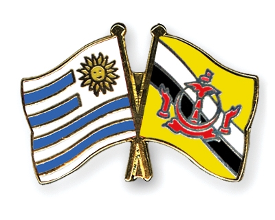 Fahnen Pins Uruguay Brunei-Darussalam