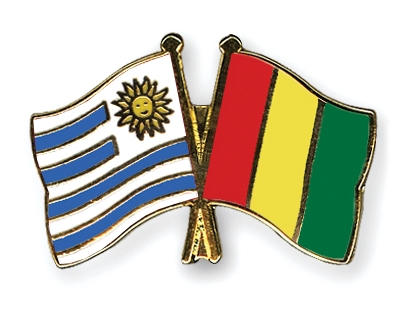 Fahnen Pins Uruguay Guinea