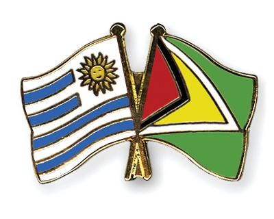 Fahnen Pins Uruguay Guyana