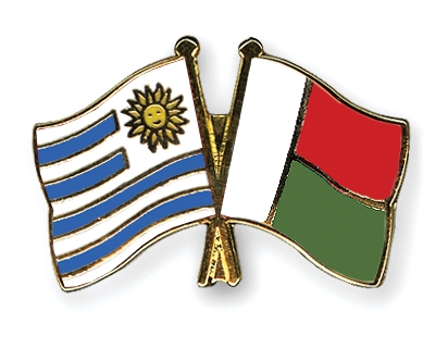 Fahnen Pins Uruguay Madagaskar