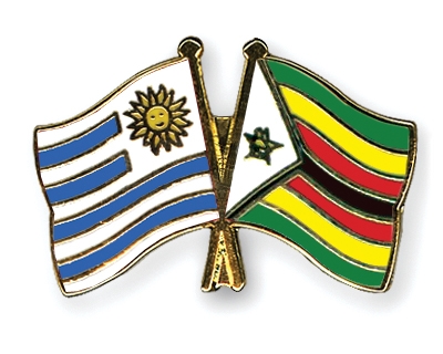 Fahnen Pins Uruguay Simbabwe