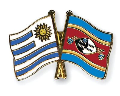 Fahnen Pins Uruguay Swasiland