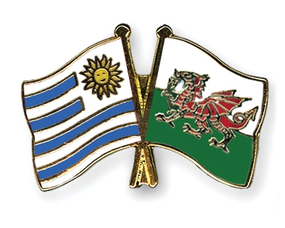Fahnen Pins Uruguay Wales