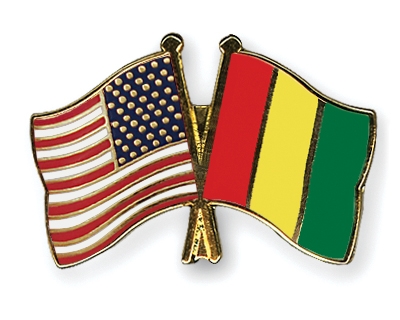 Fahnen Pins USA Guinea