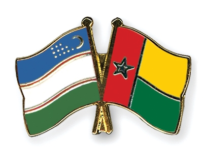 Fahnen Pins Usbekistan Guinea-Bissau