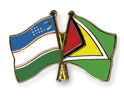 Fahnen Pins Usbekistan Guyana