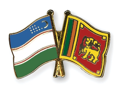 Fahnen Pins Usbekistan Sri-Lanka